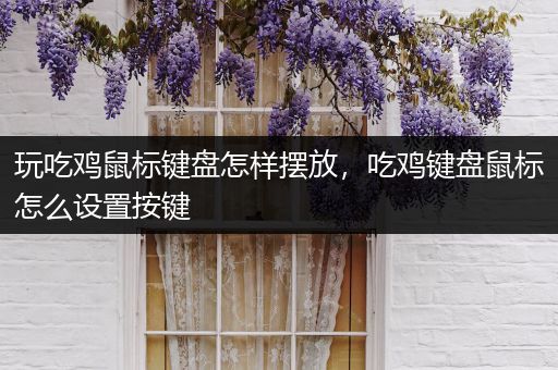 玩吃鸡鼠标键盘怎样摆放，吃鸡键盘鼠标怎么设置按键