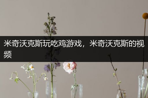 米奇沃克斯玩吃鸡游戏，米奇沃克斯的视频