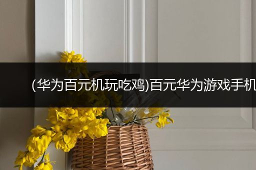 （华为百元机玩吃鸡)百元华为游戏手机