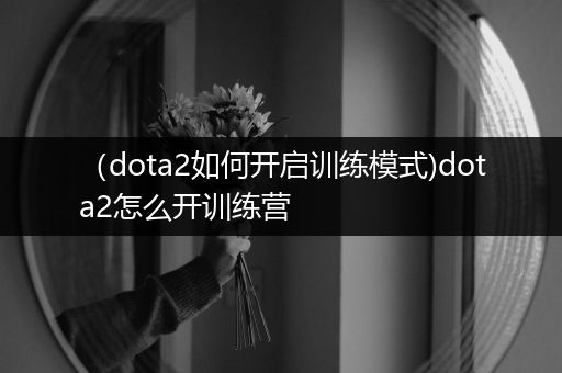 （dota2如何开启训练模式)dota2怎么开训练营