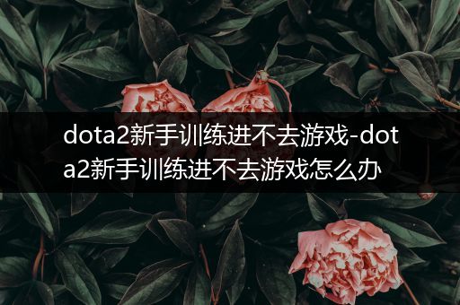 dota2新手训练进不去游戏-dota2新手训练进不去游戏怎么办