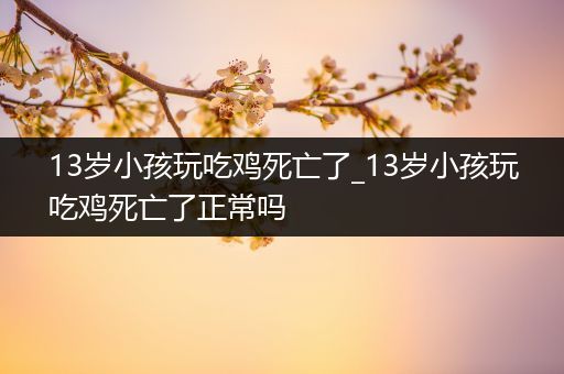 13岁小孩玩吃鸡死亡了_13岁小孩玩吃鸡死亡了正常吗