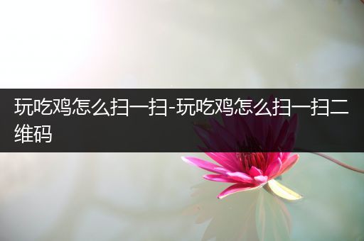 玩吃鸡怎么扫一扫-玩吃鸡怎么扫一扫二维码