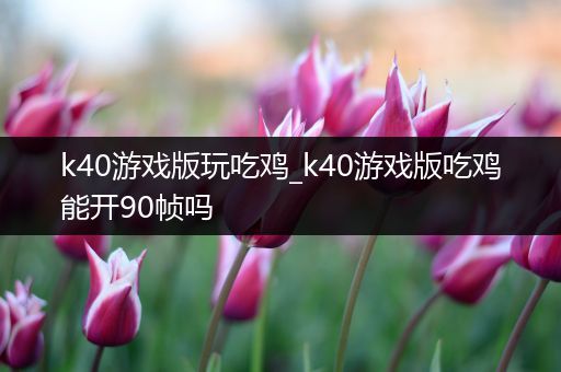 k40游戏版玩吃鸡_k40游戏版吃鸡能开90帧吗