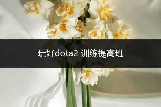 玩好dota2 训练提高班