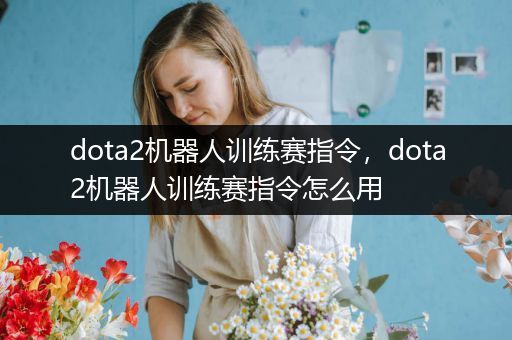 dota2机器人训练赛指令，dota2机器人训练赛指令怎么用