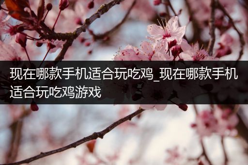 现在哪款手机适合玩吃鸡_现在哪款手机适合玩吃鸡游戏
