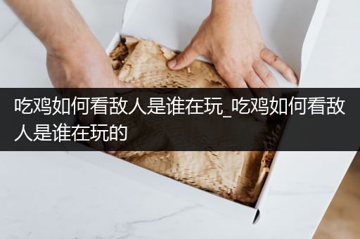 吃鸡如何看敌人是谁在玩_吃鸡如何看敌人是谁在玩的