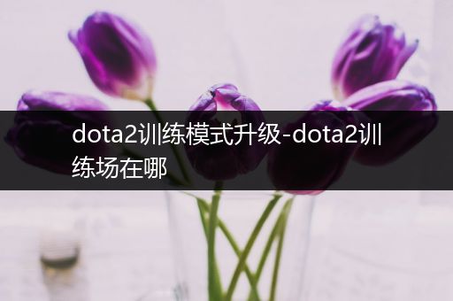 dota2训练模式升级-dota2训练场在哪
