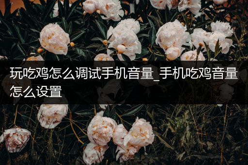 玩吃鸡怎么调试手机音量_手机吃鸡音量怎么设置
