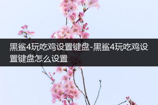 黑鲨4玩吃鸡设置键盘-黑鲨4玩吃鸡设置键盘怎么设置