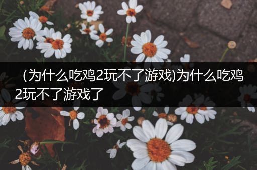 （为什么吃鸡2玩不了游戏)为什么吃鸡2玩不了游戏了