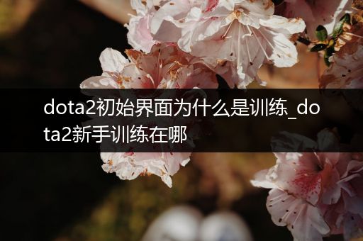 dota2初始界面为什么是训练_dota2新手训练在哪
