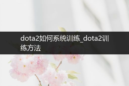 dota2如何系统训练_dota2训练方法