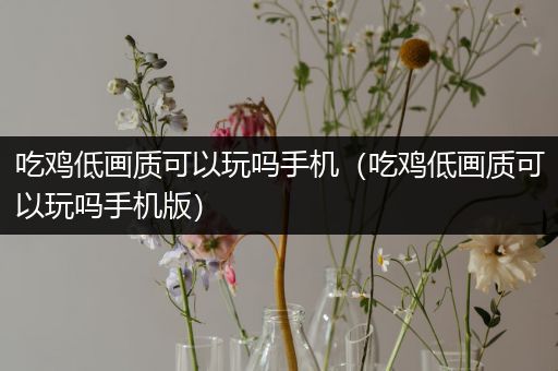 吃鸡低画质可以玩吗手机（吃鸡低画质可以玩吗手机版）
