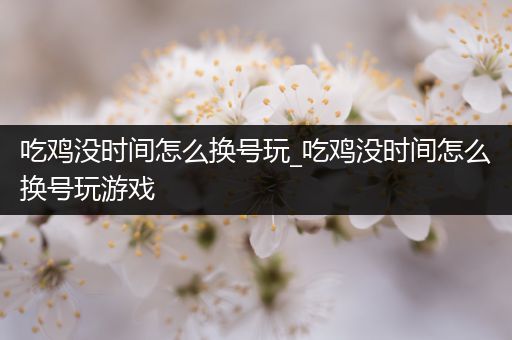 吃鸡没时间怎么换号玩_吃鸡没时间怎么换号玩游戏