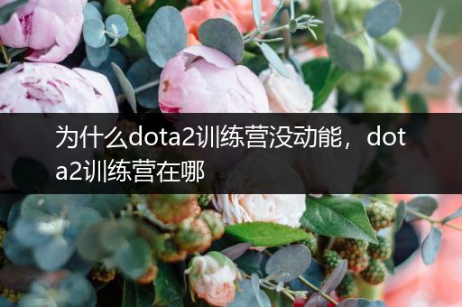 为什么dota2训练营没动能，dota2训练营在哪