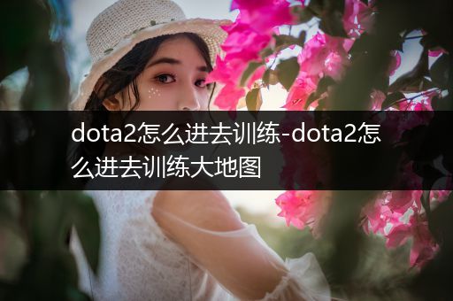dota2怎么进去训练-dota2怎么进去训练大地图