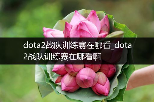 dota2战队训练赛在哪看_dota2战队训练赛在哪看啊