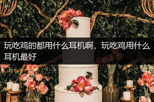 玩吃鸡的都用什么耳机啊，玩吃鸡用什么耳机最好