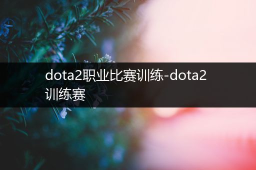 dota2职业比赛训练-dota2 训练赛