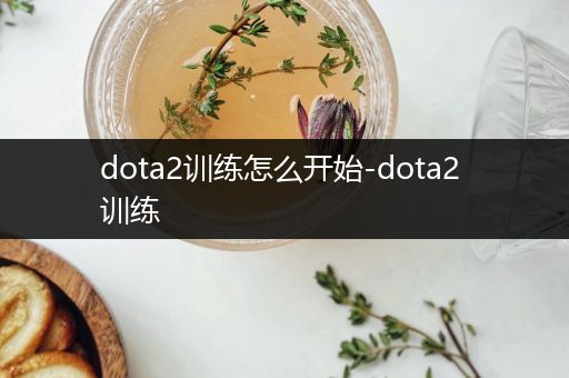 dota2训练怎么开始-dota2 训练