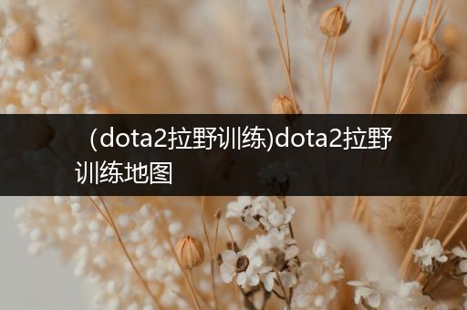 （dota2拉野训练)dota2拉野训练地图