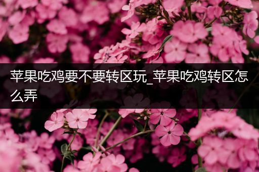 苹果吃鸡要不要转区玩_苹果吃鸡转区怎么弄