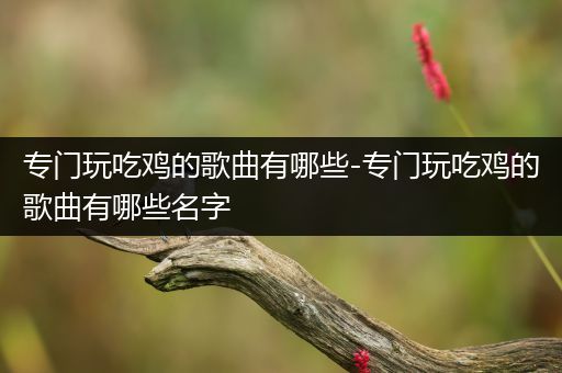 专门玩吃鸡的歌曲有哪些-专门玩吃鸡的歌曲有哪些名字