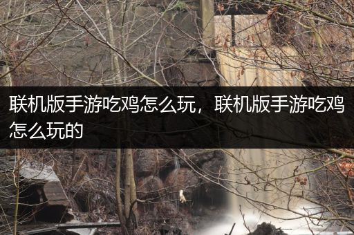 联机版手游吃鸡怎么玩，联机版手游吃鸡怎么玩的