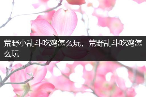 荒野小乱斗吃鸡怎么玩，荒野乱斗吃鸡怎么玩