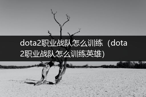 dota2职业战队怎么训练（dota2职业战队怎么训练英雄）