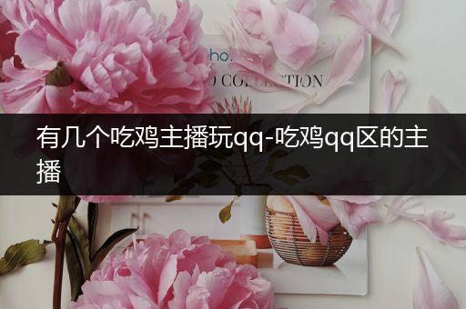 有几个吃鸡主播玩qq-吃鸡qq区的主播