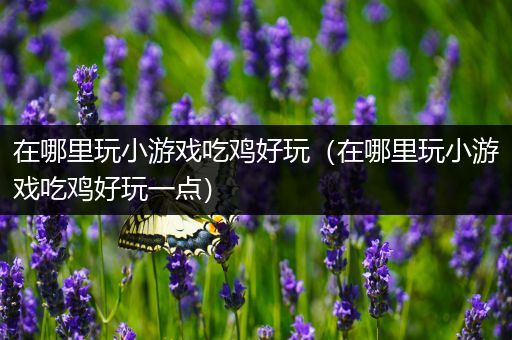 在哪里玩小游戏吃鸡好玩（在哪里玩小游戏吃鸡好玩一点）