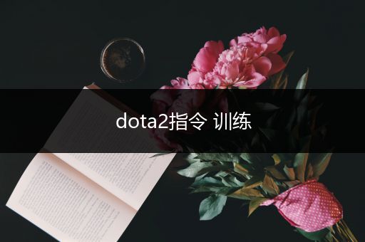 dota2指令 训练