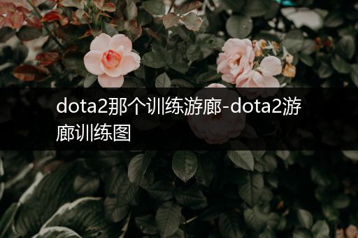 dota2那个训练游廊-dota2游廊训练图