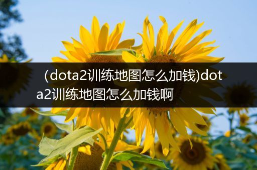 （dota2训练地图怎么加钱)dota2训练地图怎么加钱啊